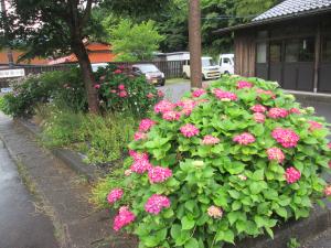 R8田舎の４