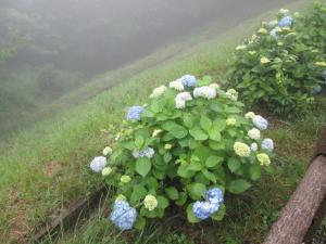 R8長野山２