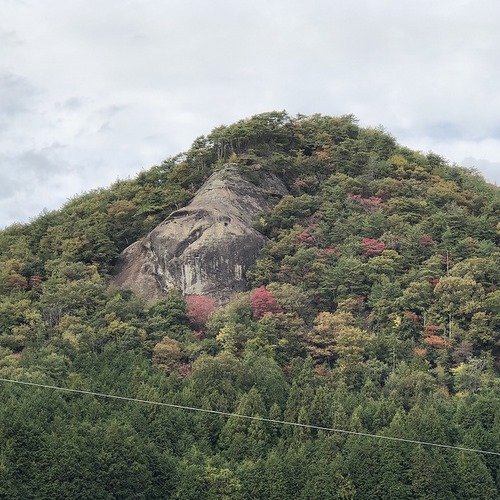 鹿野地域にあるライオン岩が写っています。