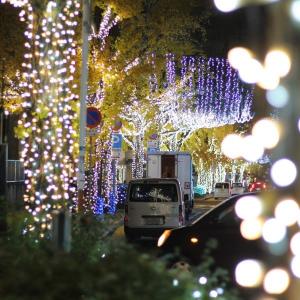 御幸通りのイルミネーション