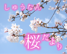 しゅうなん桜だより