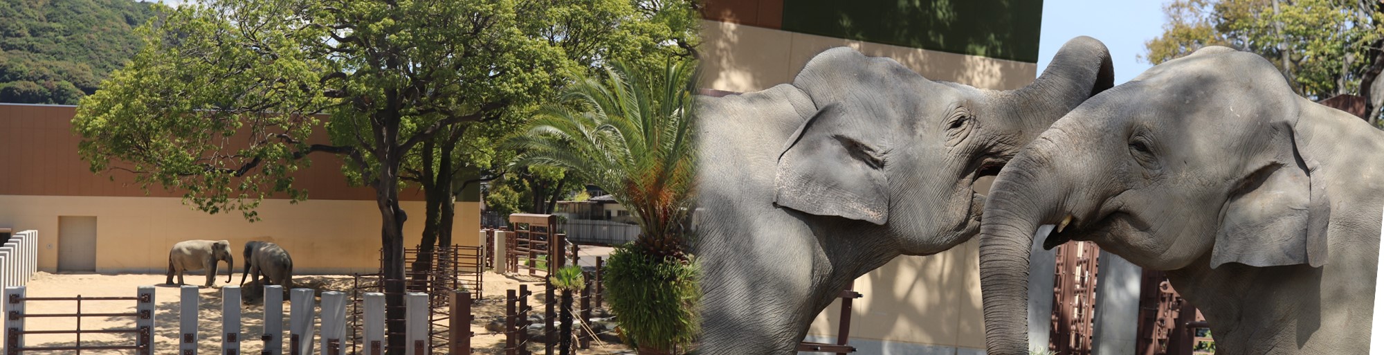 周南市徳山動物園 山口県周南市