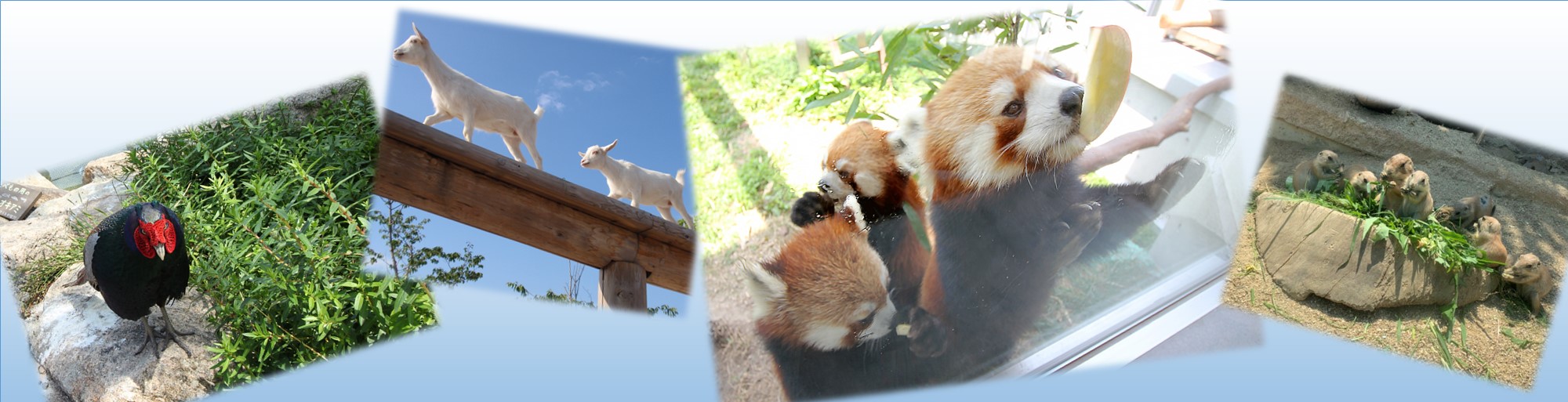 周南市徳山動物園 山口県周南市