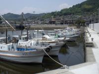 福川（温田）漁港の写真