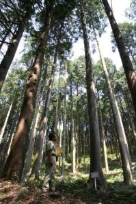 京都大学フィールド科学教育研究センター里域ステーション徳山試験地