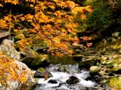 高瀬峡の紅葉（和田地区の秋）