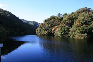 向道湖の写真