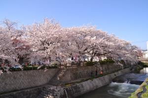 東川緑地公園