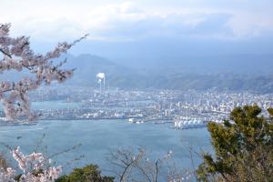 太華山の桜