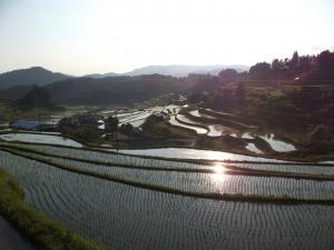 中須の棚田