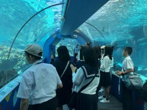 タウンズビル市のリーフHQ水族館を見学する様子