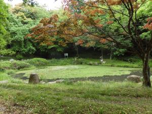 大賀ハスの池の写真