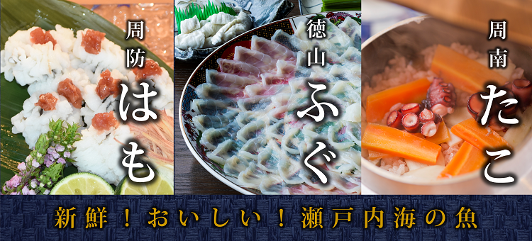 新鮮！おいしい！瀬戸内海の魚