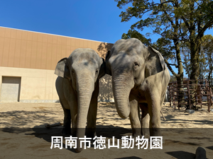 周南市徳山動物園