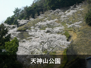 天神山公園