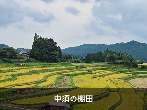 中須の棚田