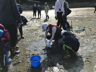 海辺の自然学校 (4)