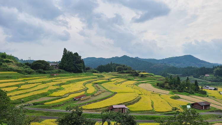 中須の棚田