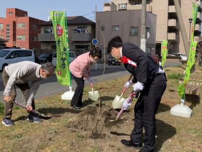 お～いお茶桜植樹式