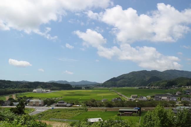 ゆめ広場から見える田園風景