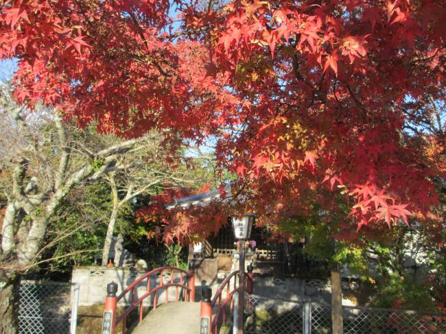 湯野温泉薬師　紅葉