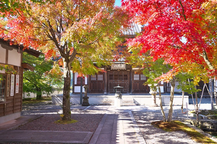 漢陽寺紅葉