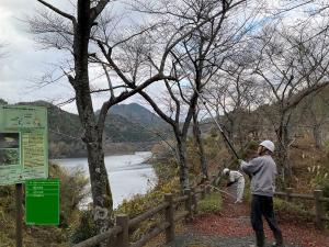 てんぐ巣病除去作業