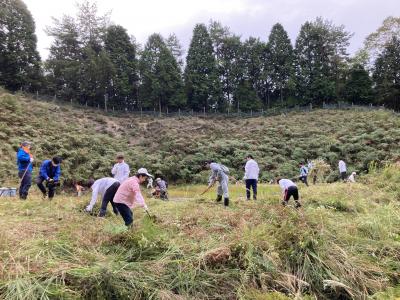 鶴のねぐら整備