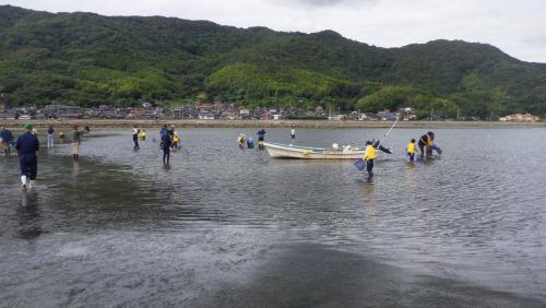 大島干潟の写真