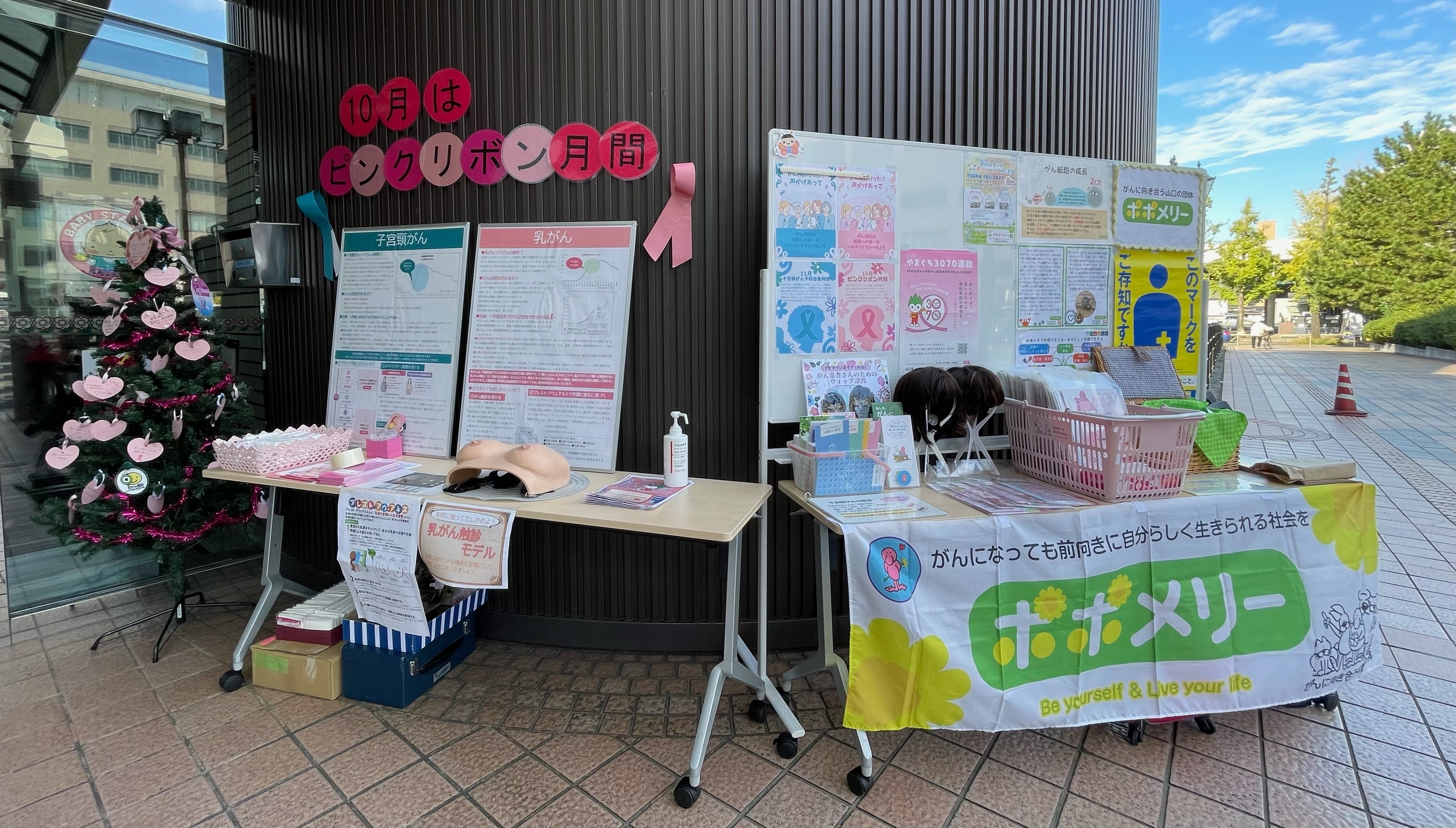 レディース検診