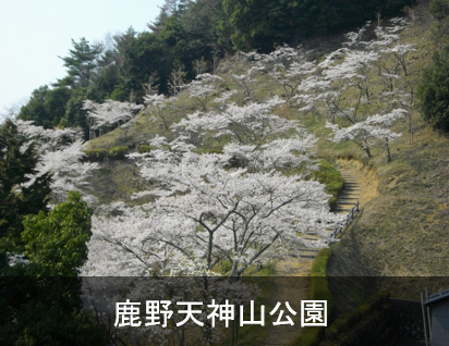 鹿野天神山公園