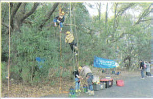 ツリークライミング