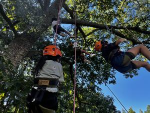 ツリークライミング