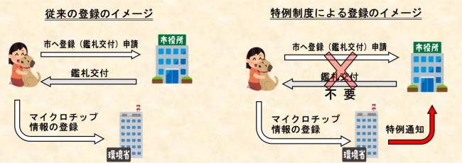 特例制度のイメージ図