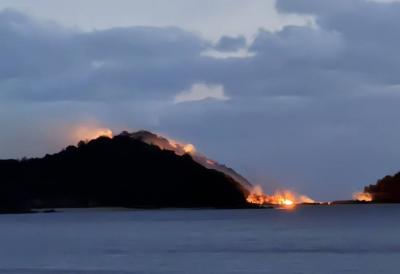 写真（仙島での林野火災）