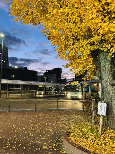 静かな朝のはじまり