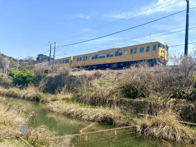 四郎谷を渡る黄色い電車