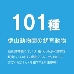 徳山動物園飼育動物数101種