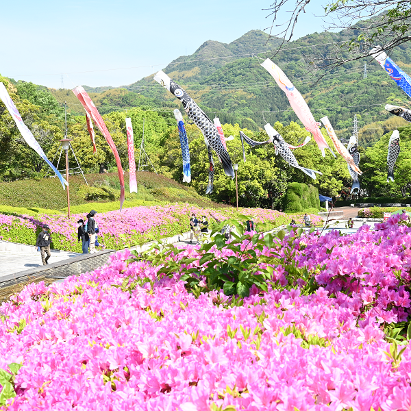 つつじ・風車祭りの様子