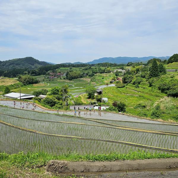 田園の様子と田植えをする人々