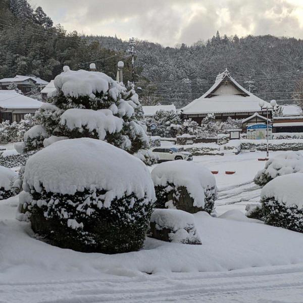 積雪の様子