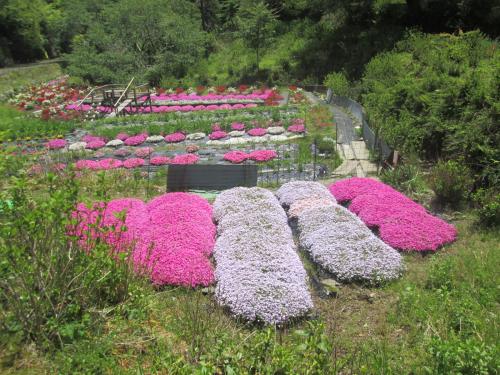 金峰1