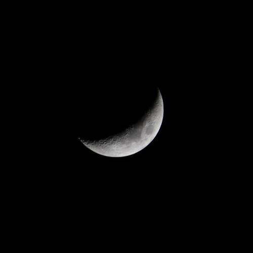 星