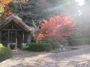 清流通りの紅葉