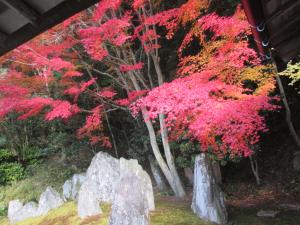 漢陽寺の紅葉3