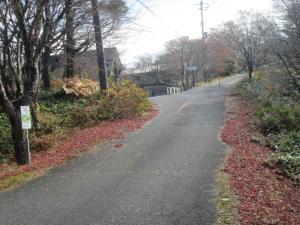 長野山の紅葉