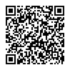 申し込みフォーム