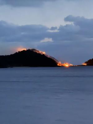 仙島での林野火災の様子