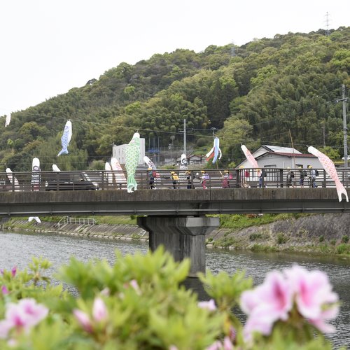 橋、こいのぼり、集団登校する小学生が写っています。