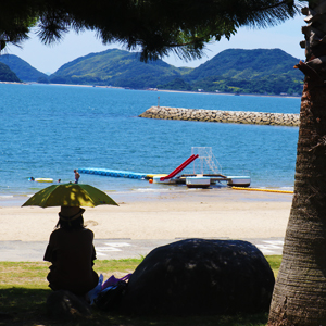 長田海浜公園の様子です。